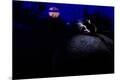 Premium Photographic Print