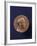 Alexander Fleming Prix Nobel 1945-null-Framed Photographic Print