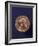 Alexander Fleming Prix Nobel 1945-null-Framed Photographic Print