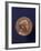 Alexander Fleming Prix Nobel 1945-null-Framed Photographic Print