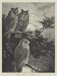 Fowl-Alexander Francis Lydon-Giclee Print