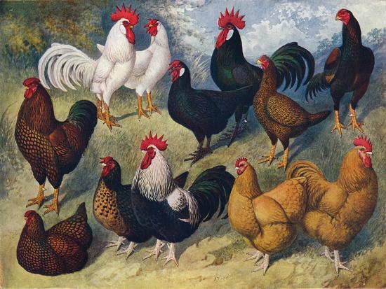 Giclee Print, , large