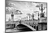 Alexander III Bridge view - Paris - France-Philippe Hugonnard-Mounted Photographic Print