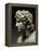 Alexander III, the Great, 356-323 BC, King of Macedonia-null-Framed Premier Image Canvas