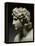 Alexander III, the Great, 356-323 BC, King of Macedonia-null-Framed Premier Image Canvas