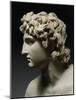 Alexander III, the Great, 356-323 BC, King of Macedonia-null-Mounted Photographic Print