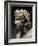 Alexander III, the Great, 356-323 BC, King of Macedonia-null-Framed Photographic Print