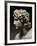 Alexander III, the Great, 356-323 BC, King of Macedonia-null-Framed Photographic Print