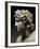 Alexander III, the Great, 356-323 BC, King of Macedonia-null-Framed Photographic Print