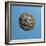 Alexander III the Great, 356-323 BC, Wearing Horns of God Amon, Coin from Period of Ptolemy I-null-Framed Photographic Print