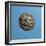 Alexander III the Great, 356-323 BC, Wearing Horns of God Amon, Coin from Period of Ptolemy I-null-Framed Photographic Print