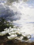 Ducks Swimming in a Sunlit Lake-Alexander Koester-Framed Giclee Print
