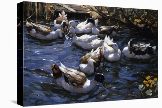Stretched Canvas Print, , large