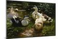 Giclee Print