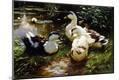 Giclee Print