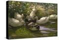 Stretched Canvas Print