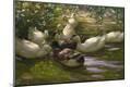 Giclee Print
