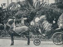 The Queen Driving in the Grounds of the Grand Hotel at Grasse During Her Holiday in the Riviera in-Alexander Lamont Henderson-Photographic Print