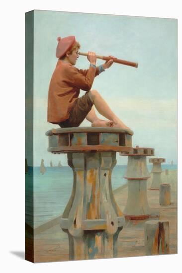 Stretched Canvas Print, , large