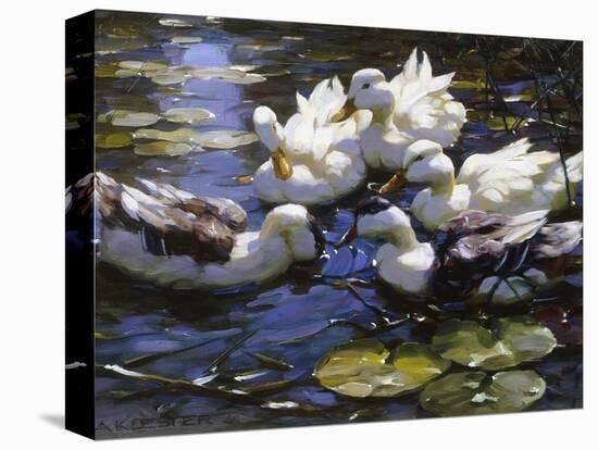 Stretched Canvas Print, , large