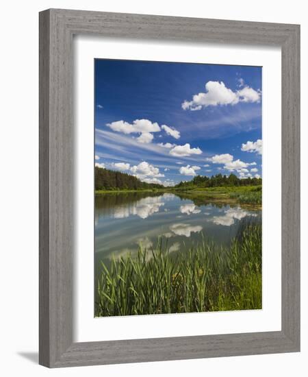 Alexander Pushkin Preserve, Pushkinskie Gory, Pskovskaya Oblast, Russia-Walter Bibikow-Framed Photographic Print