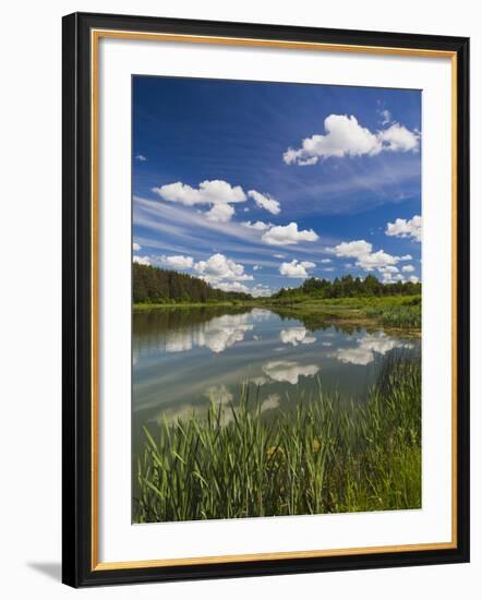 Alexander Pushkin Preserve, Pushkinskie Gory, Pskovskaya Oblast, Russia-Walter Bibikow-Framed Photographic Print