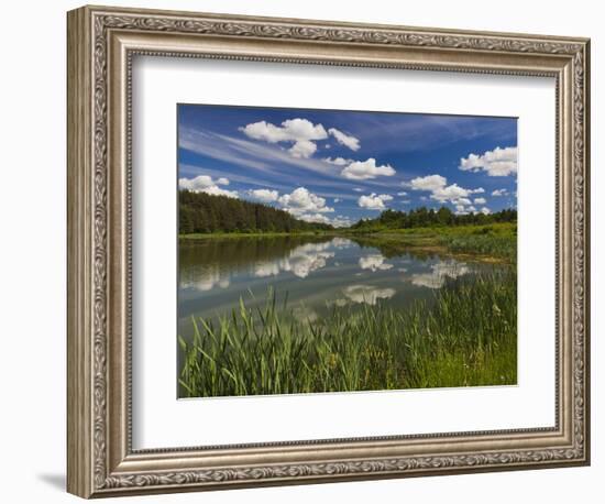 Alexander Pushkin Preserve, Pushkinskie Gory, Pskovskaya Oblast, Russia-Walter Bibikow-Framed Photographic Print