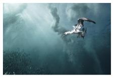 Plunge Diver-Alexander Safonov-Stretched Canvas