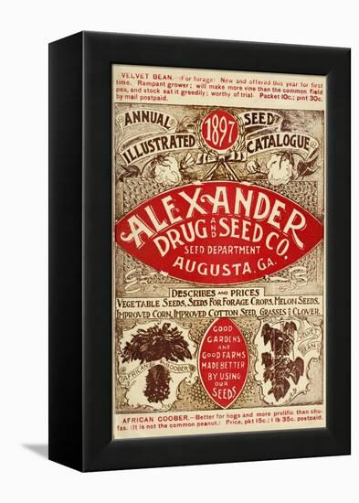 Alexander Seed-Vintage Apple Collection-Framed Premier Image Canvas