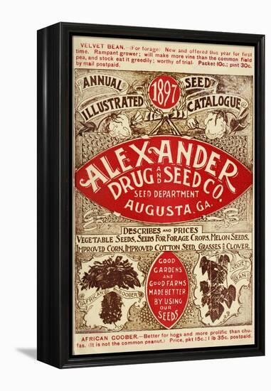 Alexander Seed-Vintage Apple Collection-Framed Premier Image Canvas