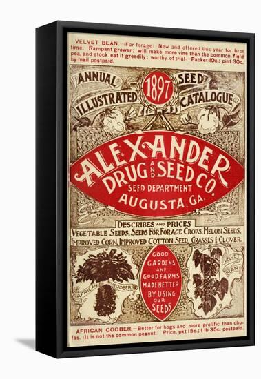 Alexander Seed-Vintage Apple Collection-Framed Premier Image Canvas