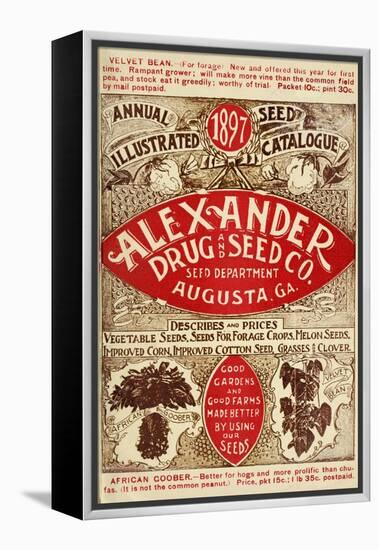 Alexander Seed-Vintage Apple Collection-Framed Premier Image Canvas