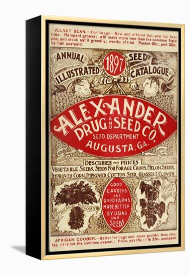 Alexander Seed-Vintage Apple Collection-Framed Premier Image Canvas