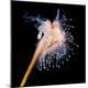 Premium Photographic Print