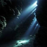 Underwater Cave-Alexander Semenov-Premium Photographic Print