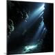 Premium Photographic Print