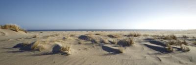 Germany, Schleswig - Holstein, island of Sylt, dunes on the beach of List-Alexander Voss-Photographic Print