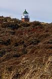 Germany, Schleswig Holstein, Kiel, lighthouse Holtenau, lighthouse-Alexander Voss-Photographic Print