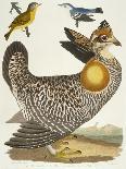 Antique Kingfisher I-Alexander Wilson-Art Print