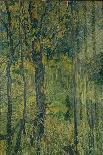 Swamp Forest, 1917-Alexander Yakovlevich Golovin-Giclee Print