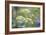 Alexanders in Flower Spring-null-Framed Photographic Print