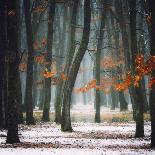 Autumn in my soul-alexandra fira-Photographic Print