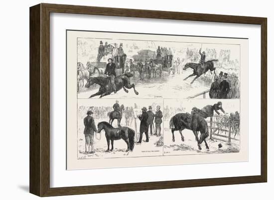 Alexandra Palace Horse Show, 1876, UK-null-Framed Giclee Print