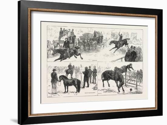 Alexandra Palace Horse Show, 1876, UK-null-Framed Giclee Print