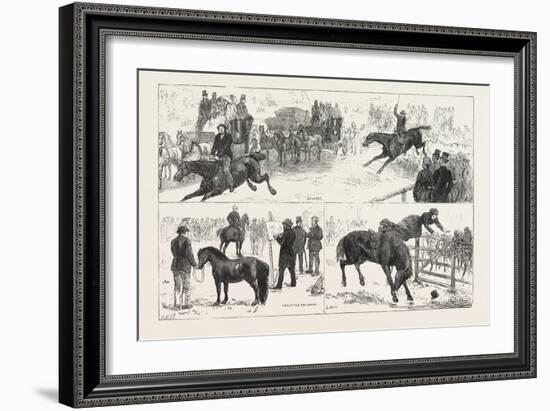 Alexandra Palace Horse Show, 1876, UK-null-Framed Giclee Print