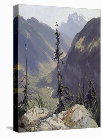 Stretched Canvas Print, , large