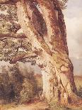 Landscape with Oaks, 1859-Alexandre Calame-Giclee Print