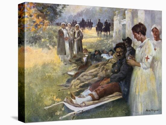 Stretched Canvas Print, , large