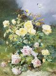 Pink and Yellow Roses-Alexandre Debrus-Giclee Print