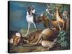 Stretched Canvas Print